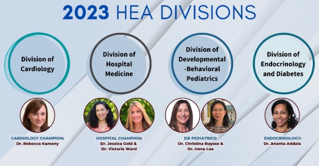 HEA Divisions